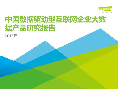 2016年中国数据驱动型互联网企业大数据产品研究报告 洞察互联网数据服务的新前沿